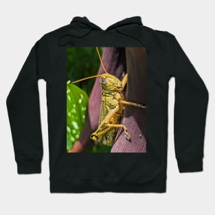 Grasshopper Hoodie